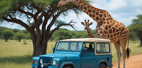 Dicas para viajar com crianças para destinos seguros na África